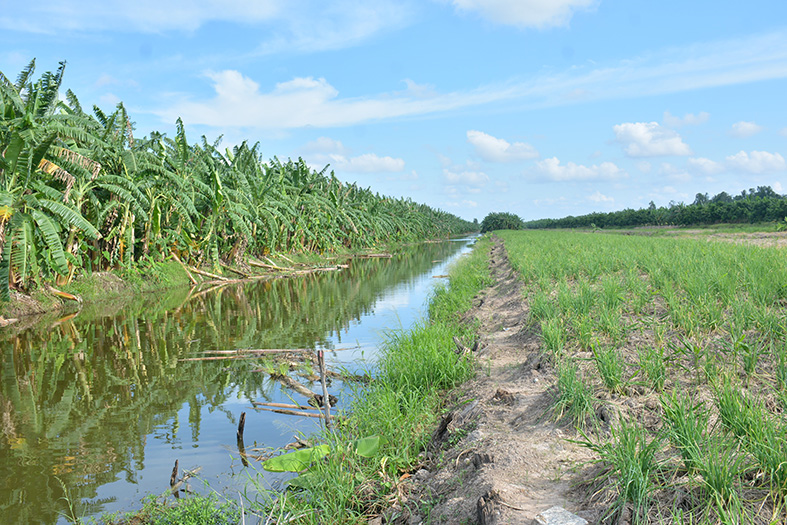 Khát vọng khởi nghiệp từ tài nguyên bản địa tại khu Ramsar U Minh Thượng (20/4/2023)